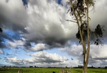 冰雪经济浪潮：万亿级产业点燃冬季消费新引擎