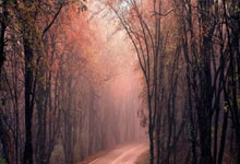 苟仲文：从苟局到仲文同志的蜕变之路