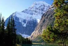 苟仲文：从苟局到仲文同志的蜕变之路