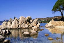 苟仲文:从苟局到仲文同志的蜕变之路